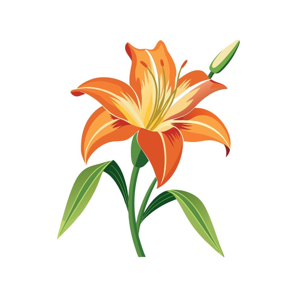 Stunning Daylily Hemerocallis Blooms in Garden vector