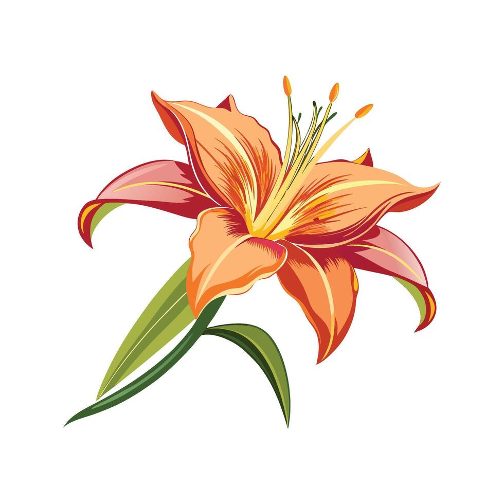 Vibrant Daylily Hemerocallis Showcasing Unique Blooms vector