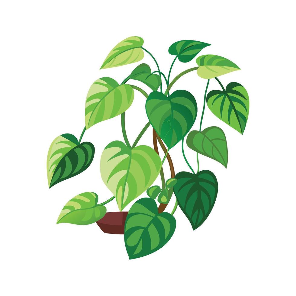 Vibrant Devil's Ivy Pothos in Lush Greenery vector