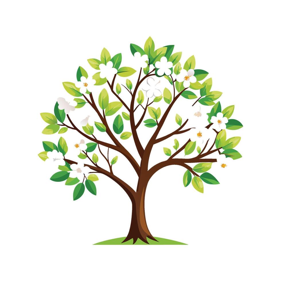 Elegant Dogwood Tree for Natural Spaces vector