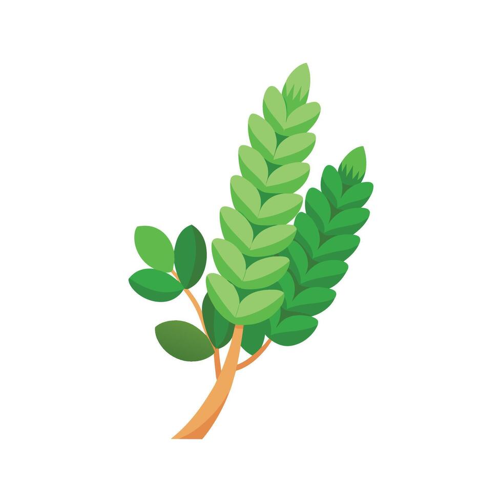 Charming Donkey's Tail for Unique Decor vector
