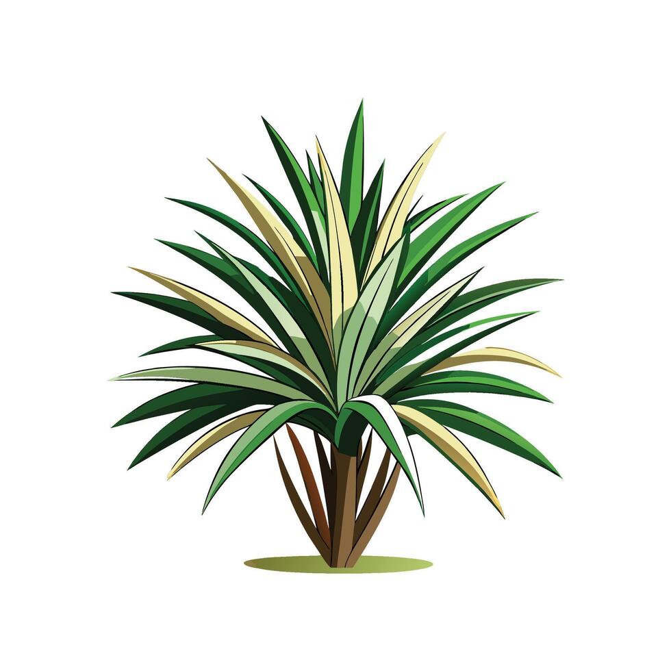 Charming Dracaena Marginata for Colorful Spaces vector