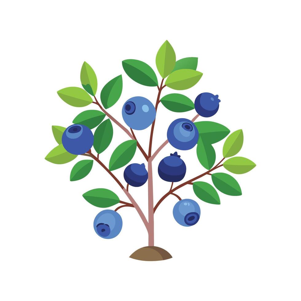 Vibrant Dwarf Blueberry Adding Color to Landscape vector
