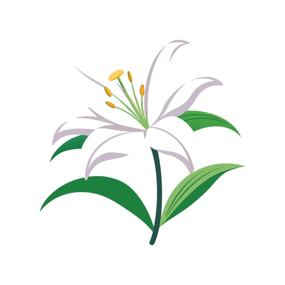 Charming Easter Lily for Colorful Gardens vector