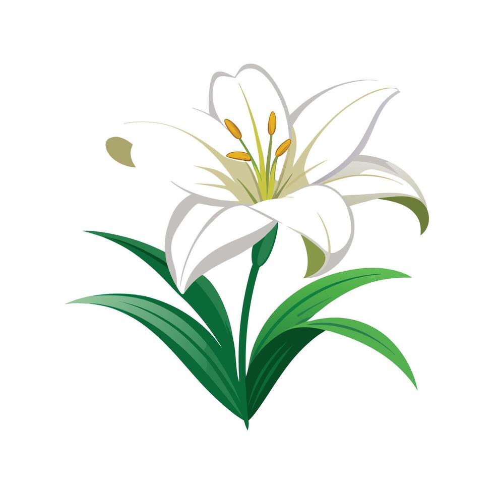 Vibrant Easter Lily Showcasing Unique Blooms vector