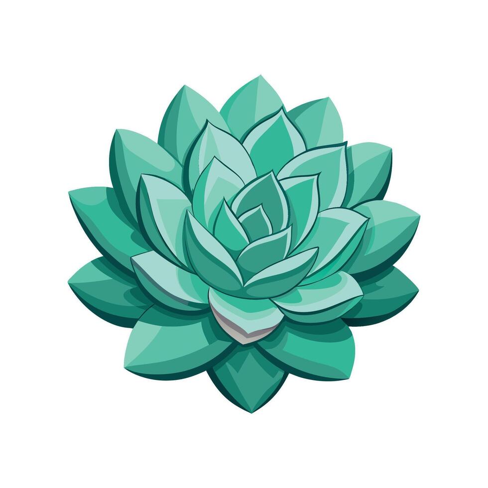 Elegant Echeveria for Stylish Interiors vector