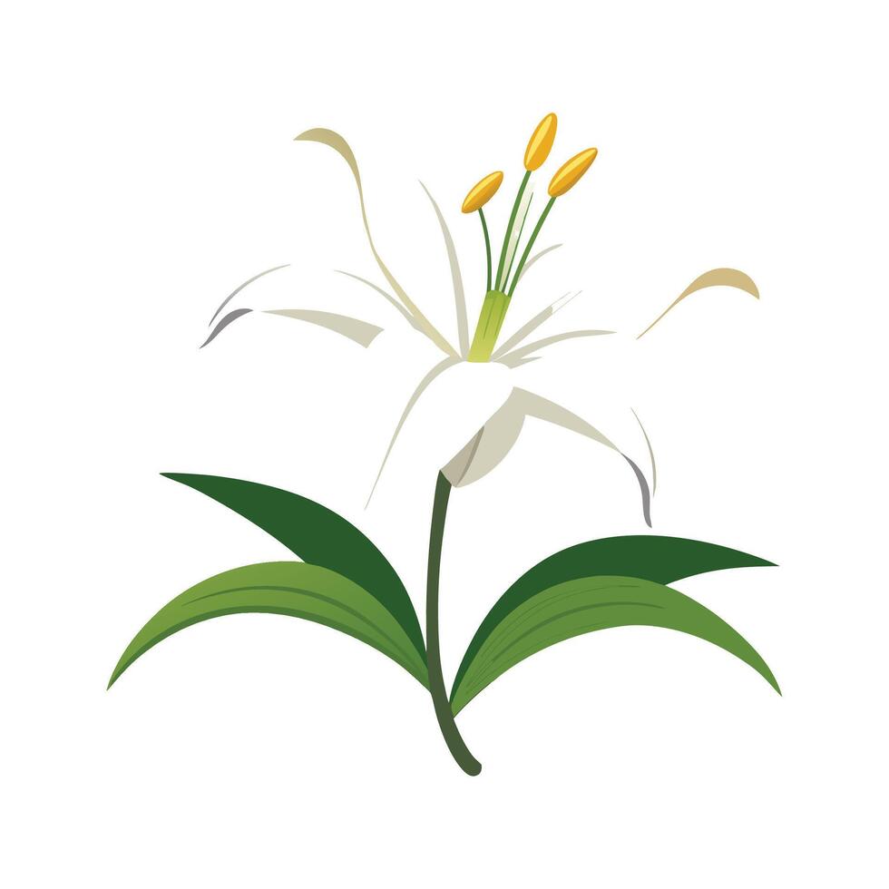 Beautiful Easter Lily Adding Color to Landscape vector
