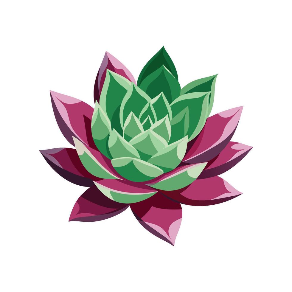 Stunning Echeveria Agavoides in Natural Habitat vector