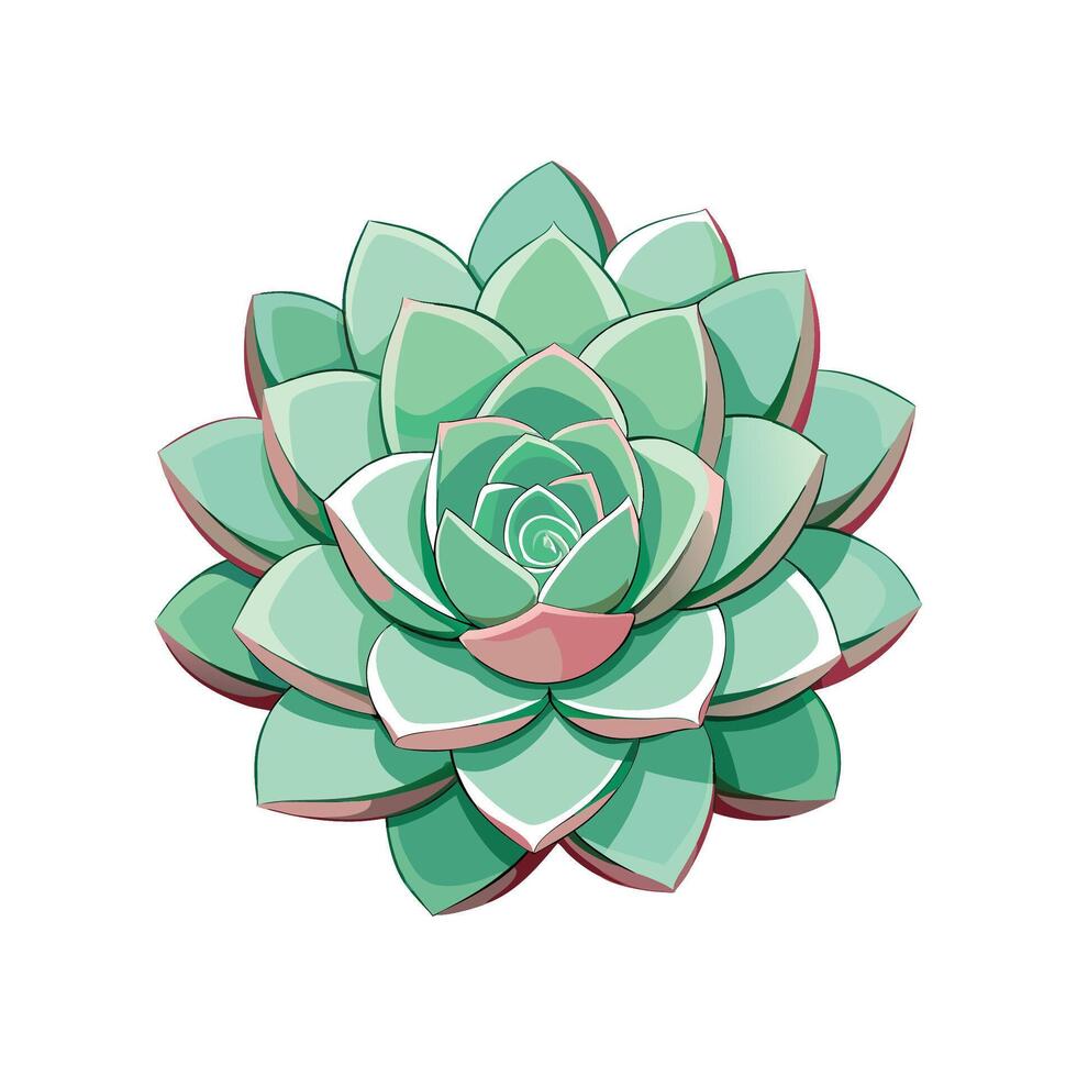 Vibrant Echeveria Showcasing Unique Foliage vector