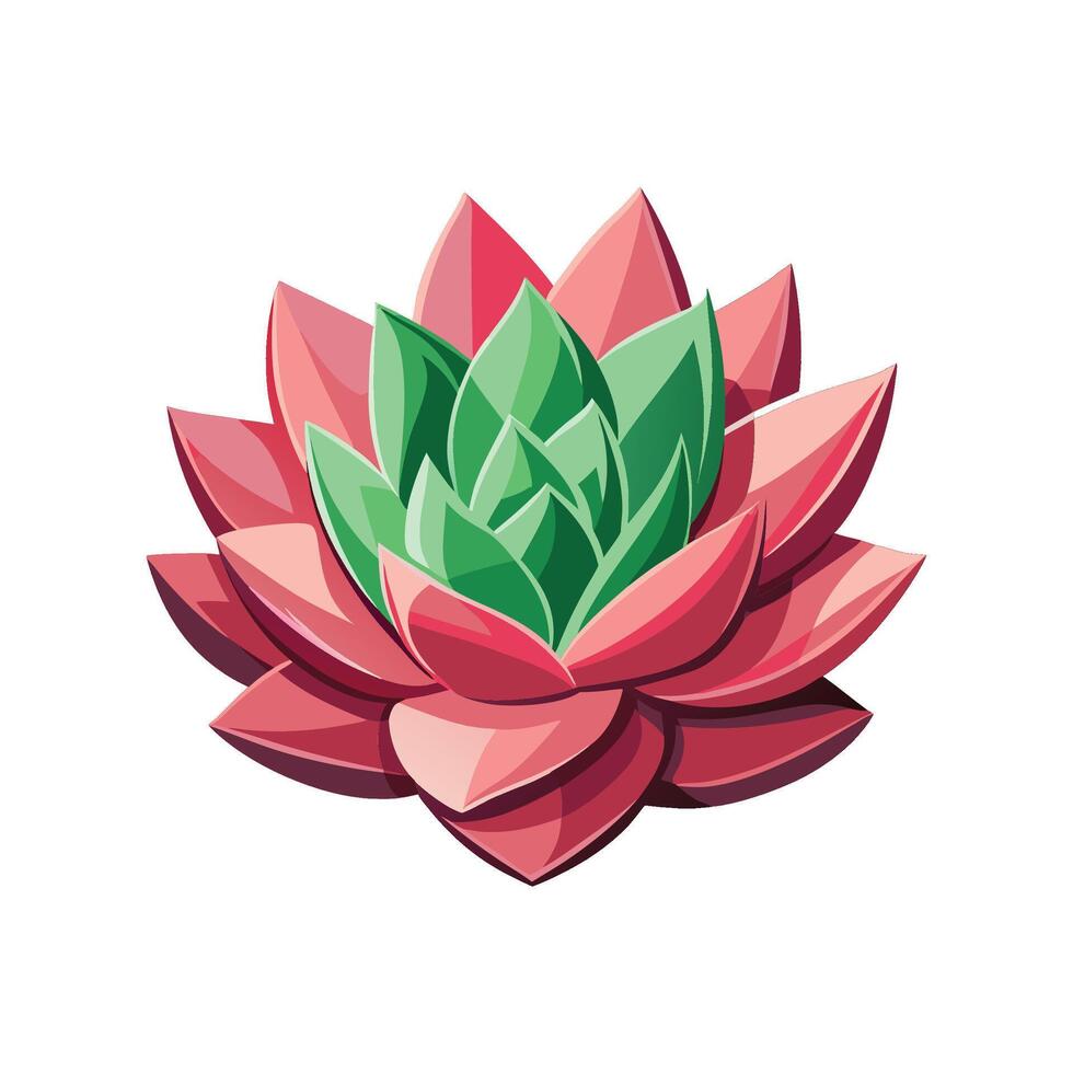 Beautiful Echeveria Agavoides Adding Texture vector