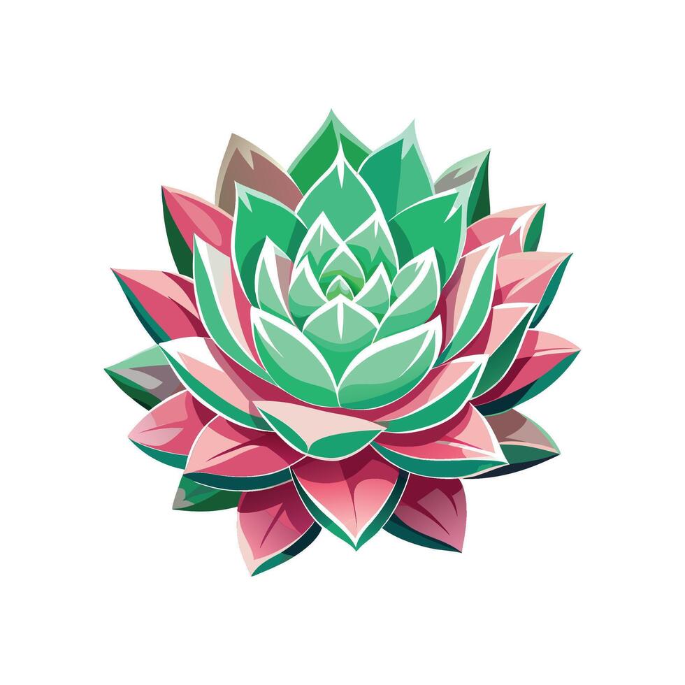 Vibrant Echeveria Agavoides for Stylish Interiors vector