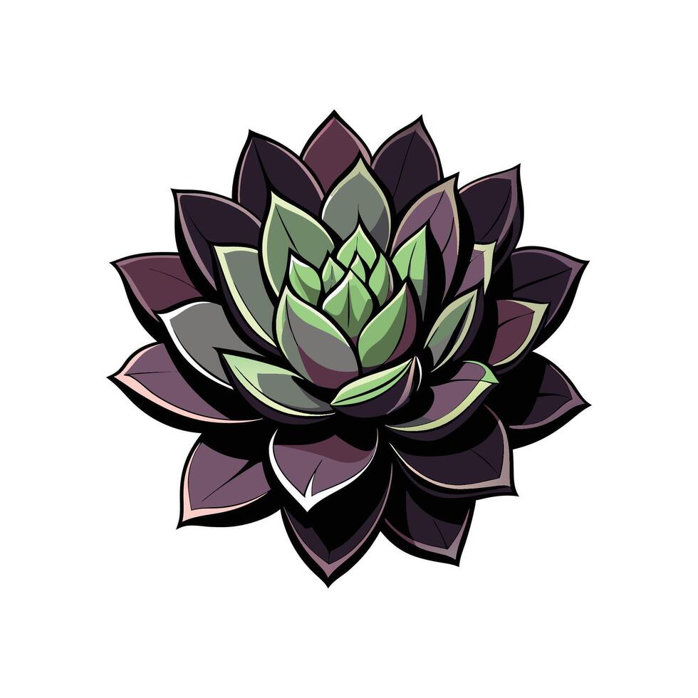 Stunning Echeveria Black Knight in Natural Habitat vector