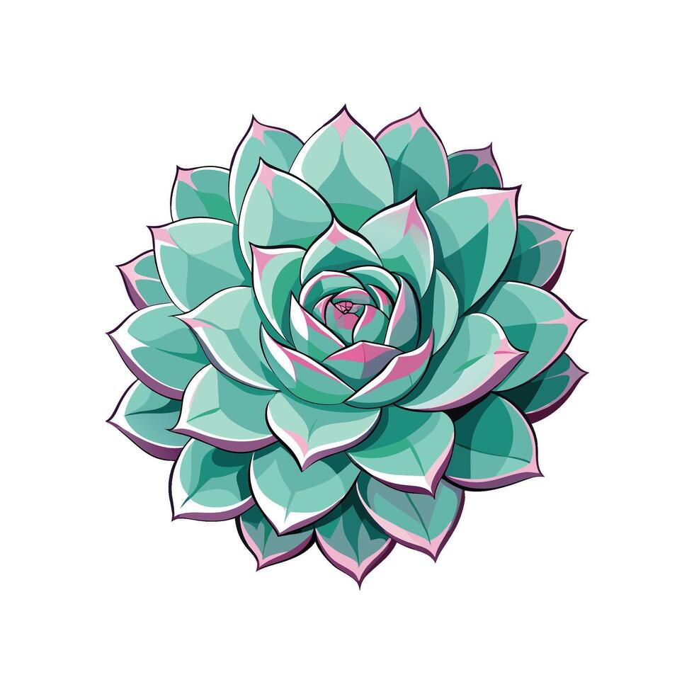Stunning Echeveria Lola in Bright Indoor Setting vector