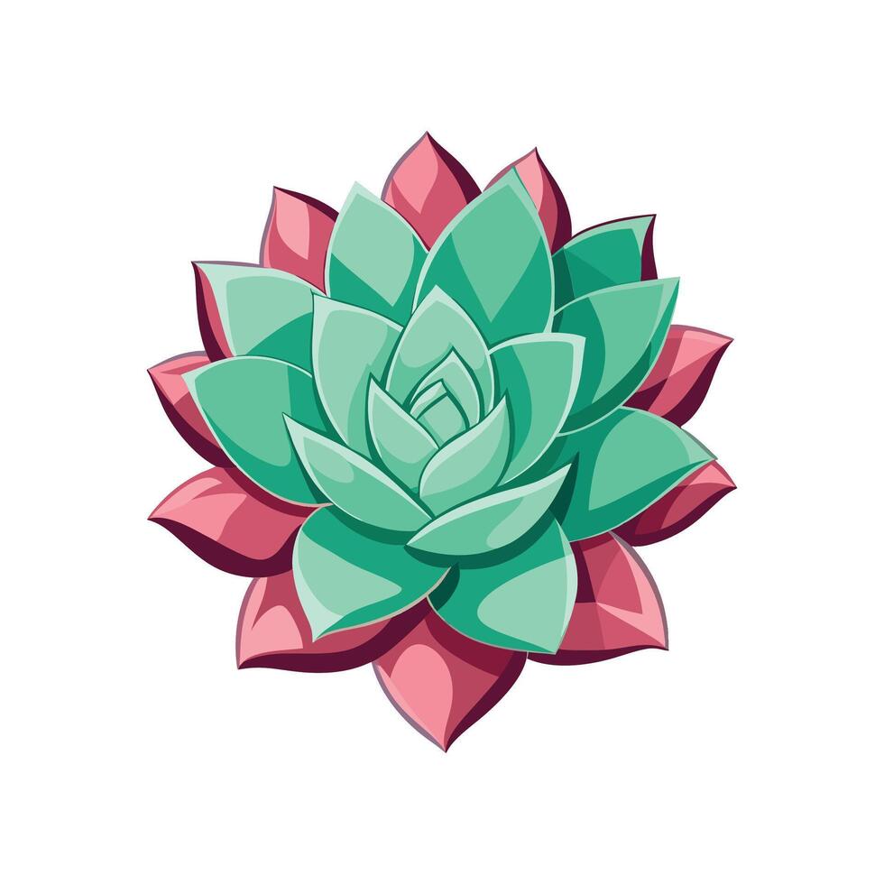 Vibrant Echeveria Lola Adding Color to Home vector