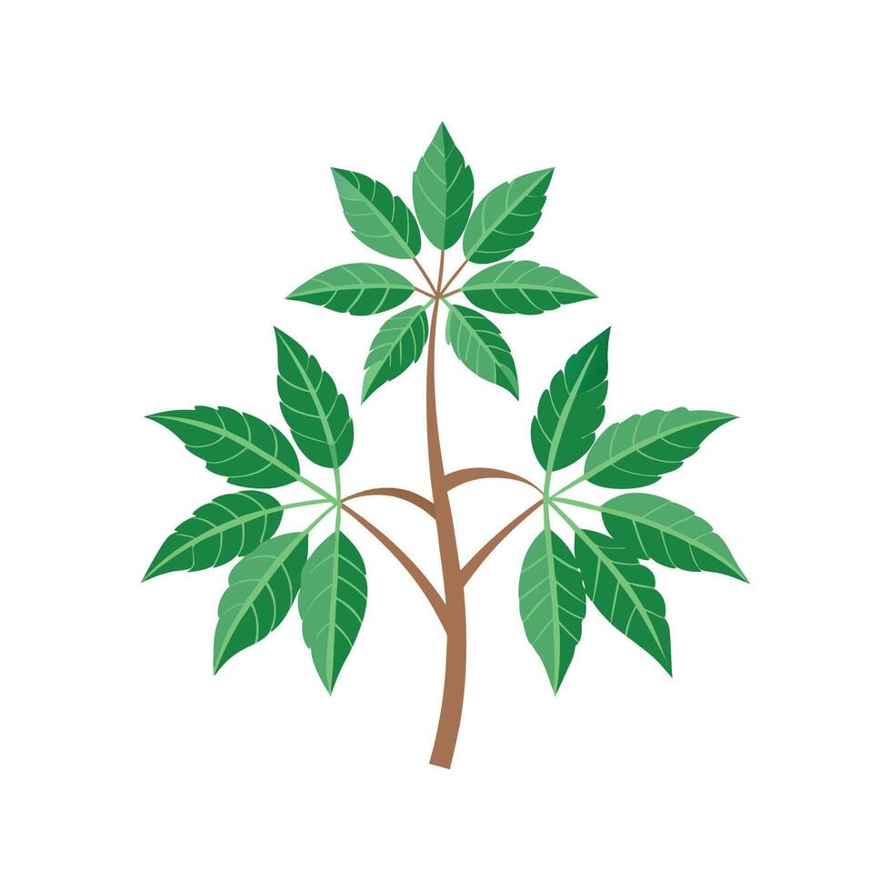 Beautiful Fatsia Adding Texture to Landscape vector