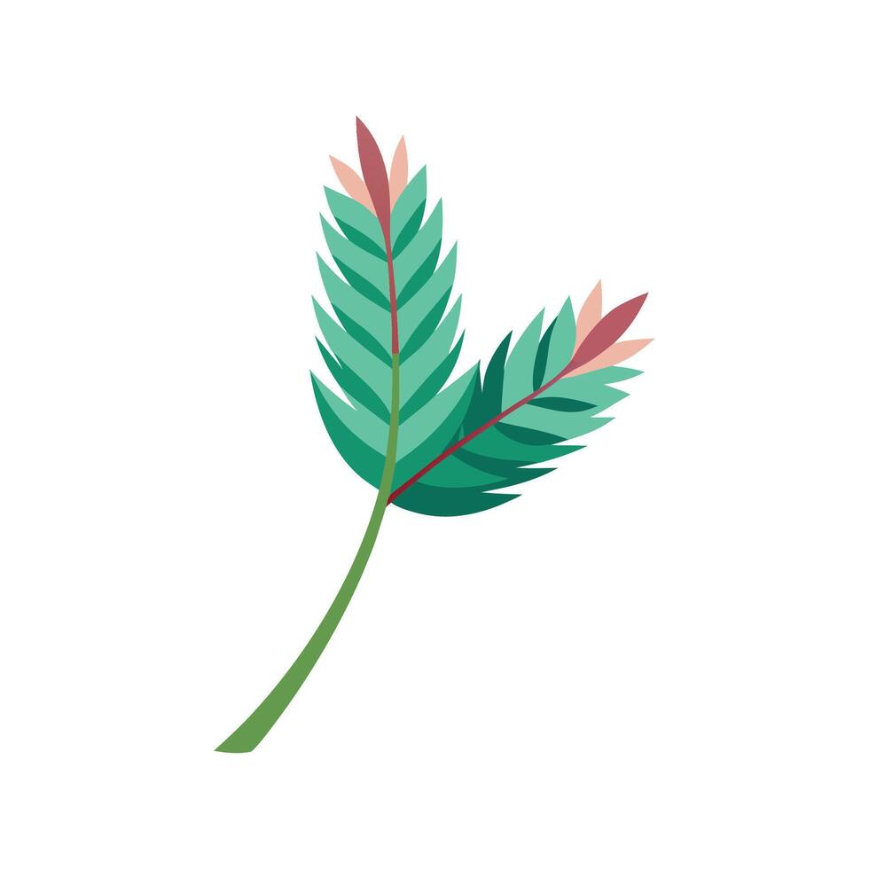 Vibrant Feather Plant for Indoor Spaces vector