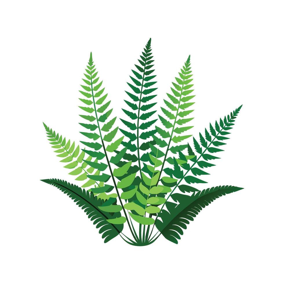 Elegant Fern Fraction Brightening Home Decor vector