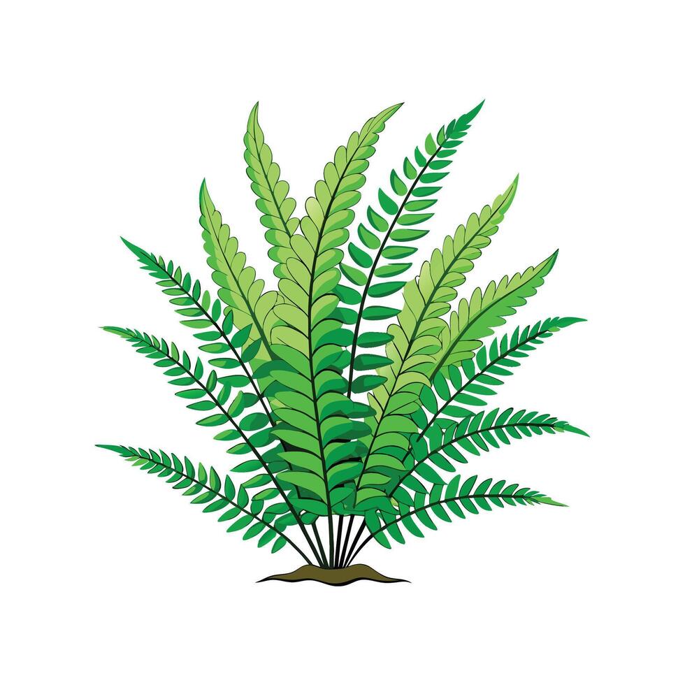 Charming Fern Fraction for Indoor Spaces vector