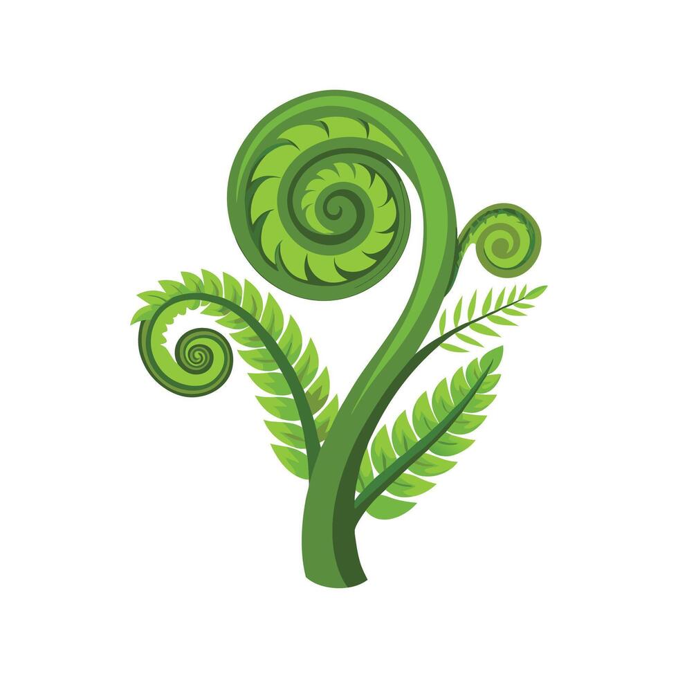 Delicate Fiddlehead Fern Illustration vector