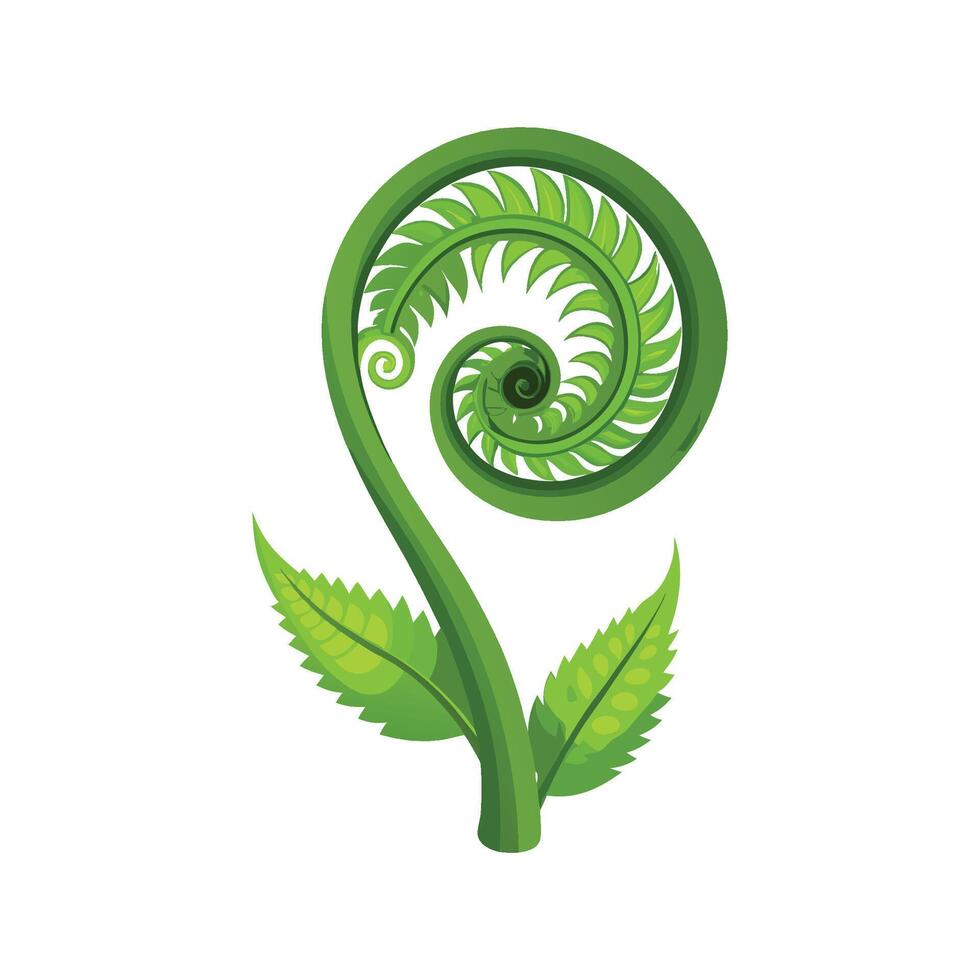 Lush Fiddlehead Fern Plant vector