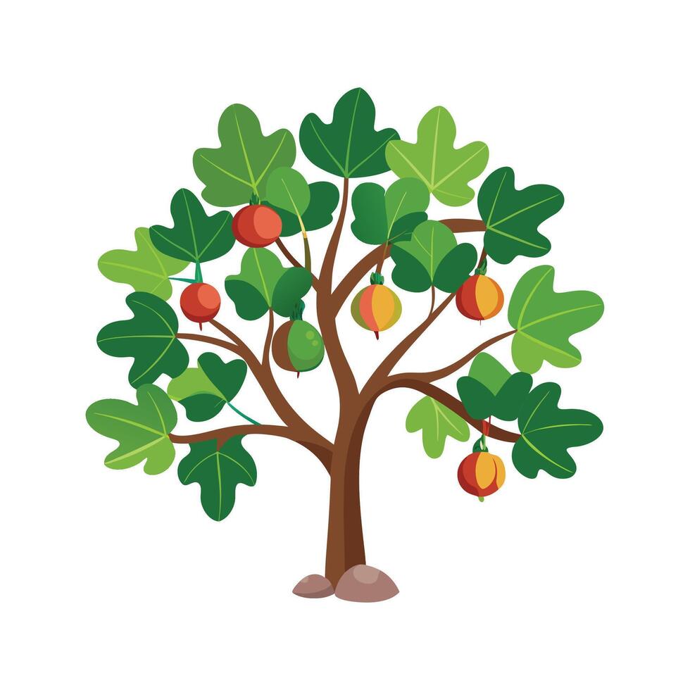 Lush Fig Tree Illustration vector