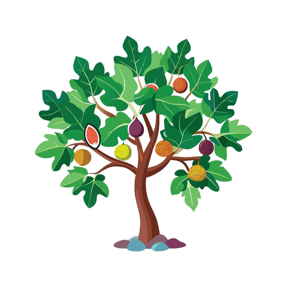 Elegant Fig Tree Plant Design vector