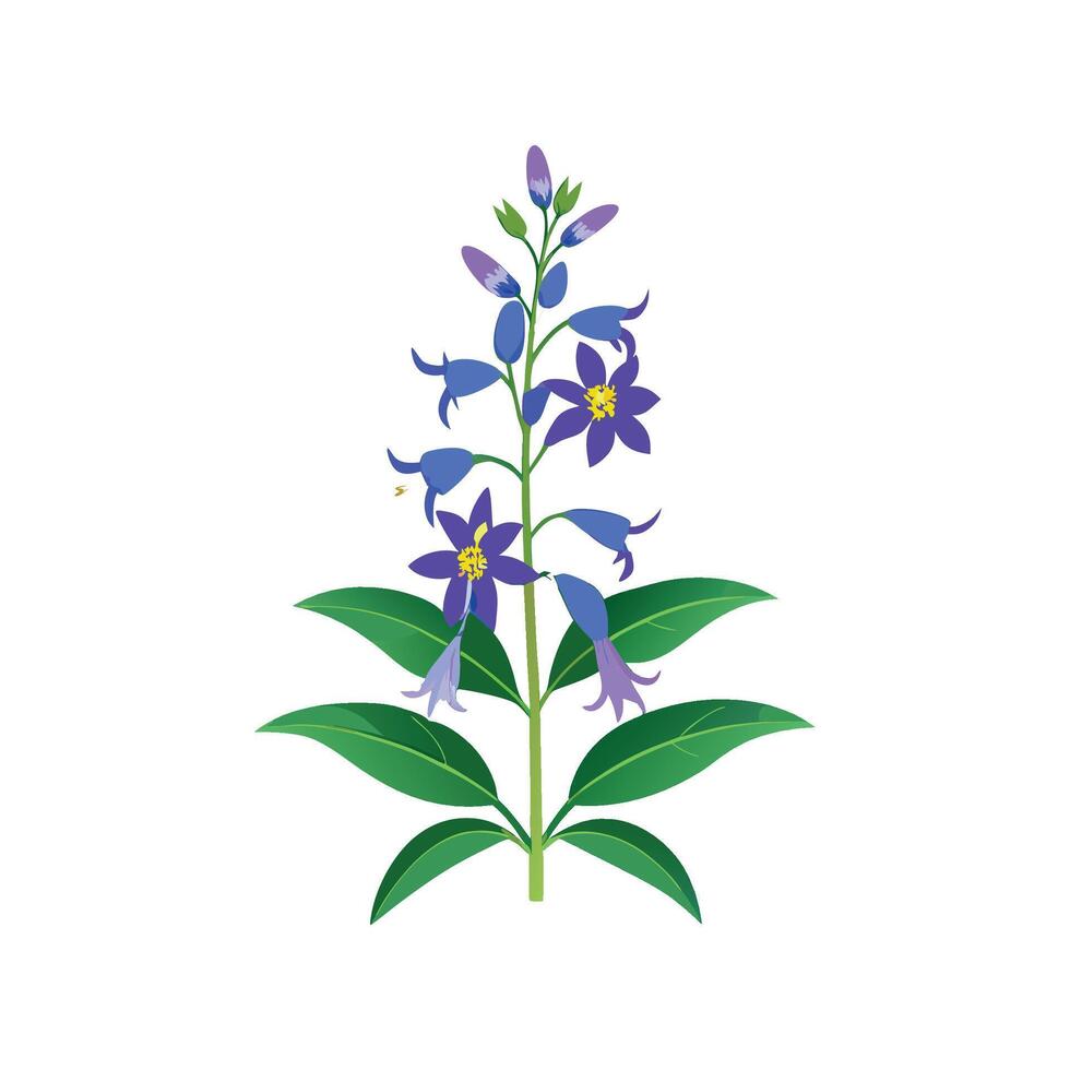 Vibrant Firecracker Flower Plant vector