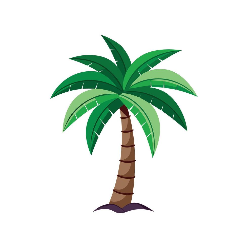 Charming Fishtail Palm Illustration vector