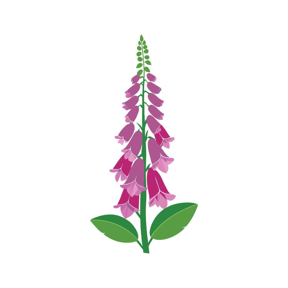 Stunning Foxglove Flower Design vector