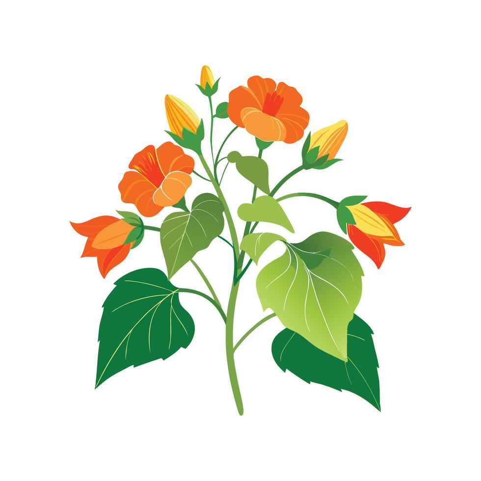 Elegant Flowering Maple Artwork vector