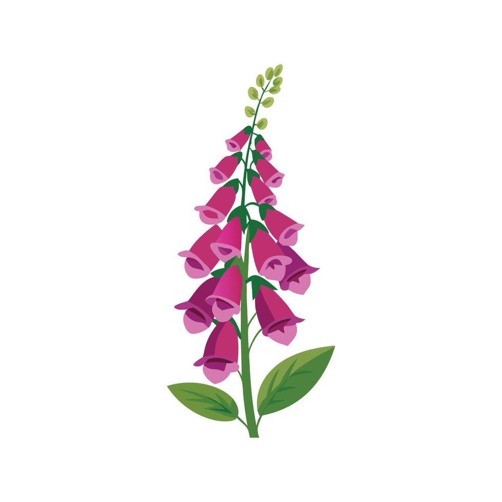 Lush Foxglove Flower Artwork vector