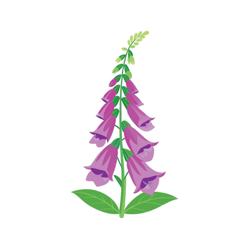 Charming Foxglove Flower Design vector