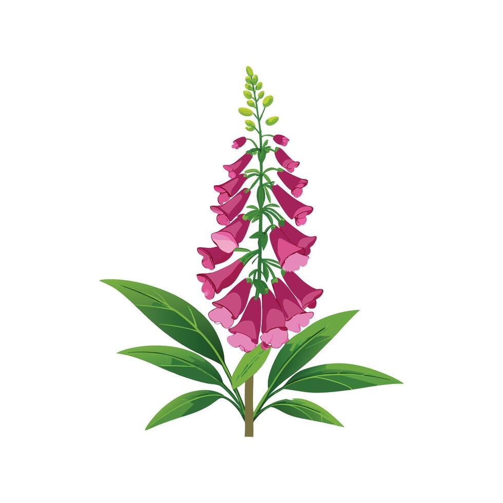 Lush Digitalis Foxglove Design vector