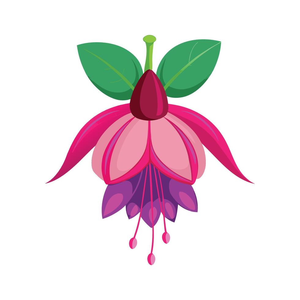 Lush Fuchsia Flower Design vector