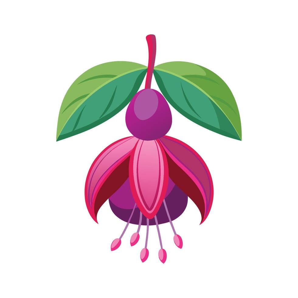 Elegant Fuchsia Plant Artwork vector
