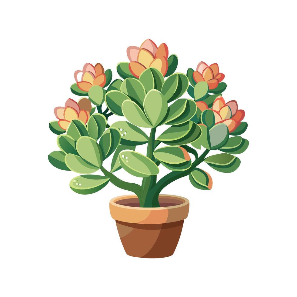 Lush Fuzzy Kalanchoe Plant vector