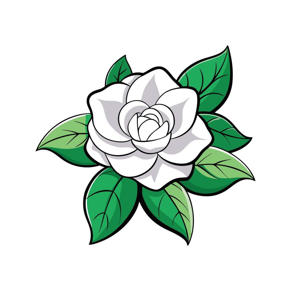 Beautiful Gardenia Blossom Illustration vector