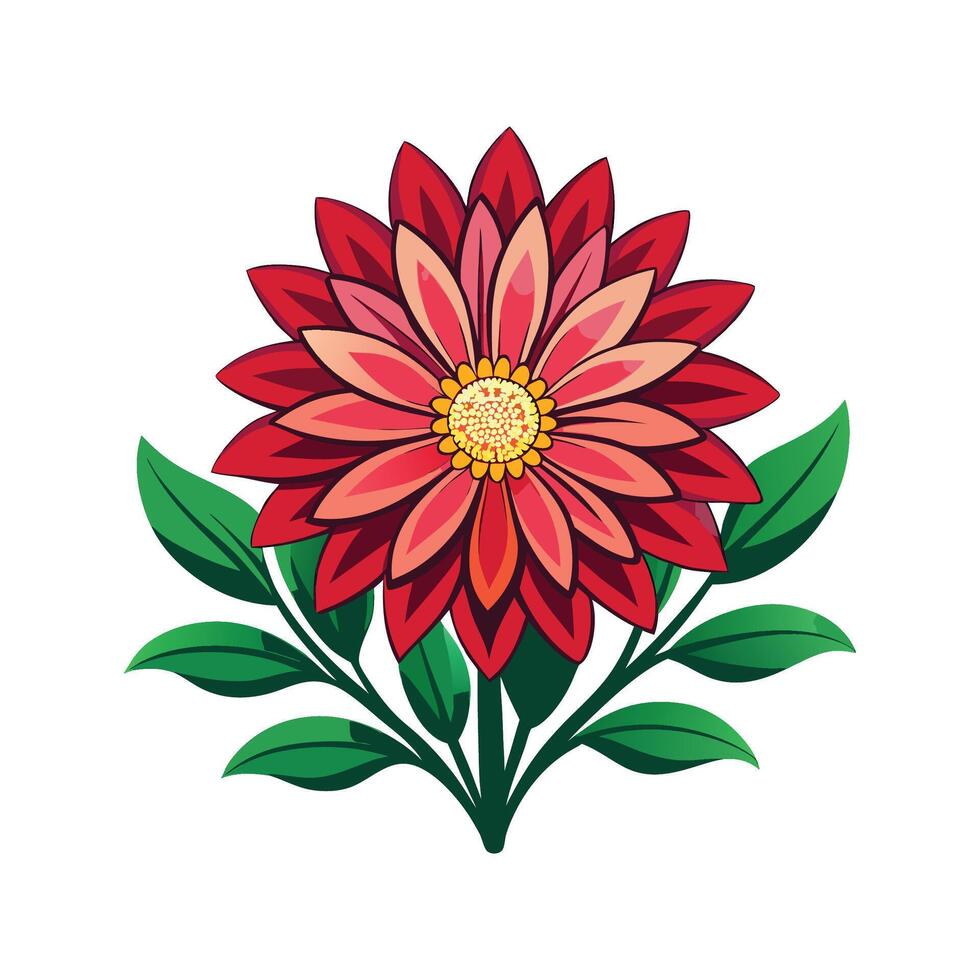 Colorful Gazania Floral Illustration vector