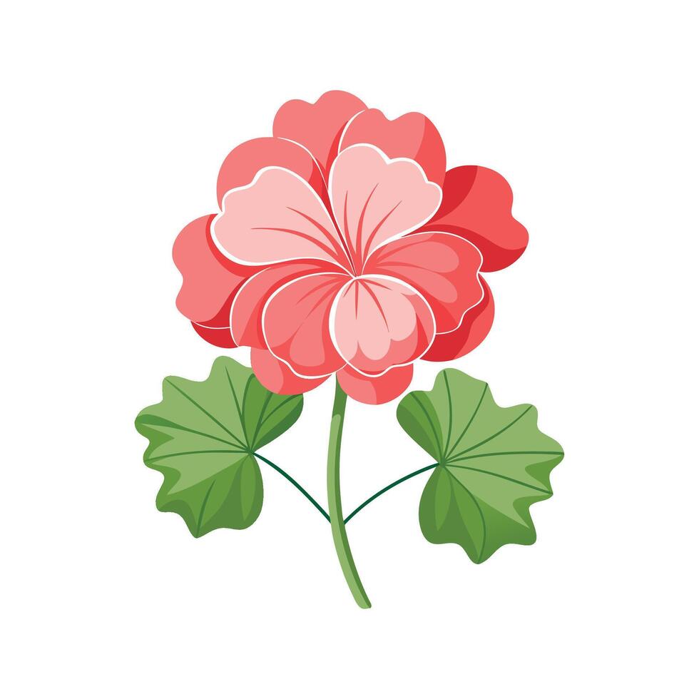 Charming Geranium Flower Artwork vector