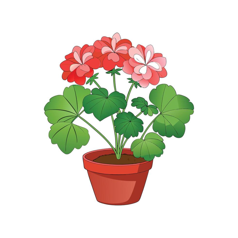 Pelargonium Geranium Flower Design vector