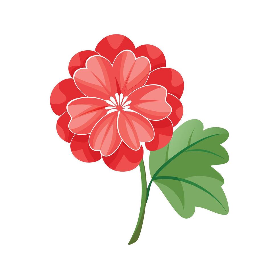 Lovely Geranium Floral Design vector