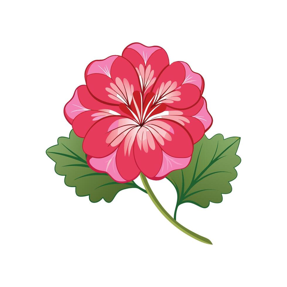 Delicate Geranium Flower Artwork vector