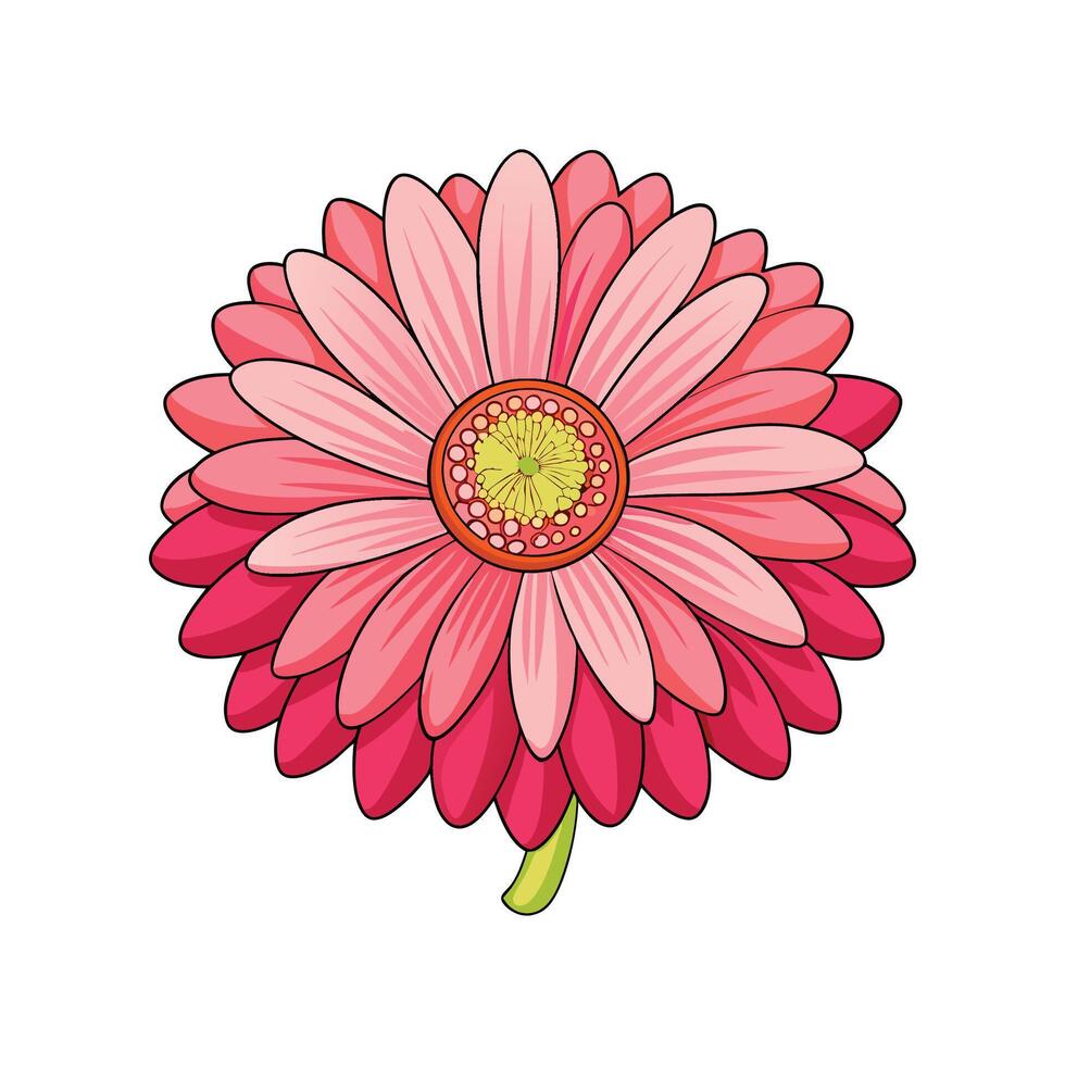 Vibrant Gerbera Daisy Flower Design vector
