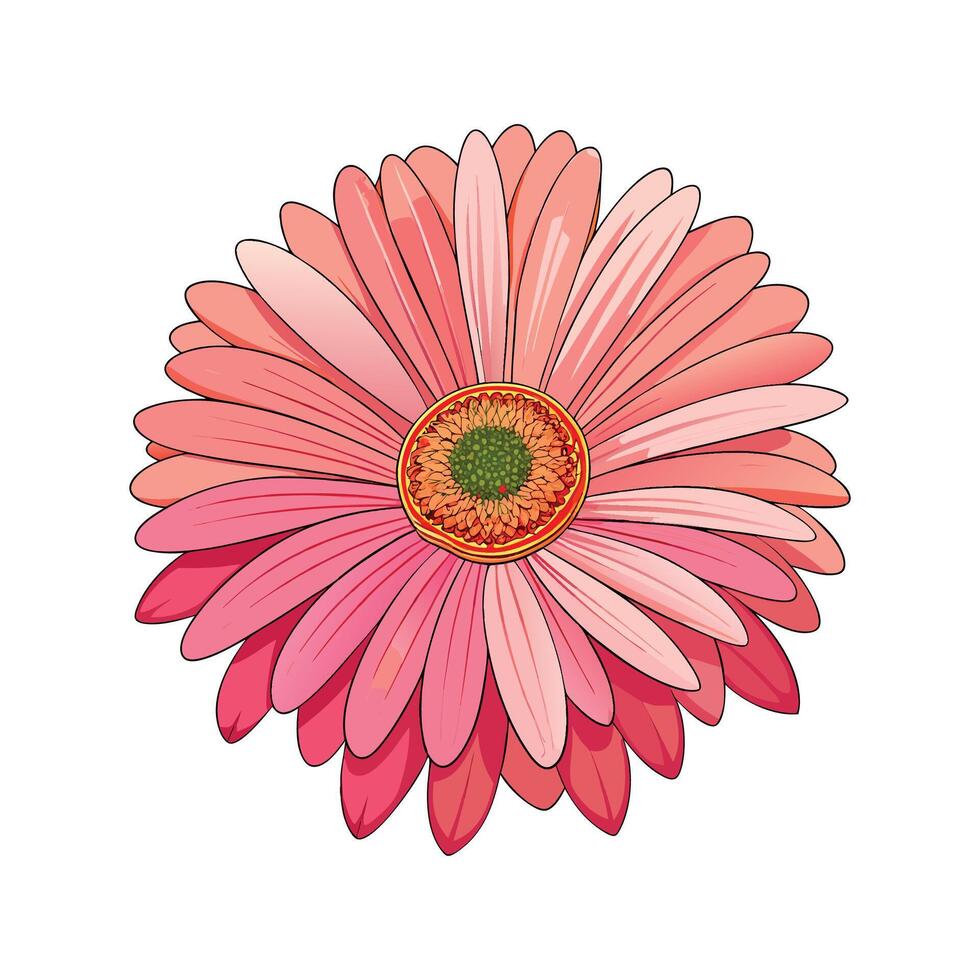 Colorful Gerbera Daisy Floral Art vector