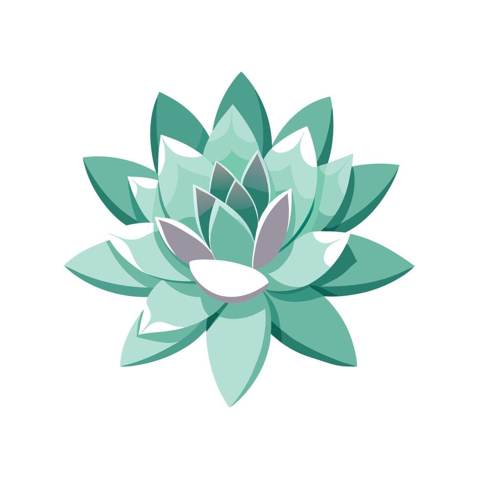 Beautiful Graptopetalum Paraguayense Flower vector