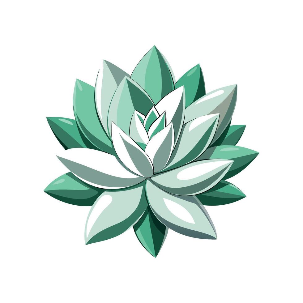 Stunning Graptopetalum Paraguayense Artwork vector