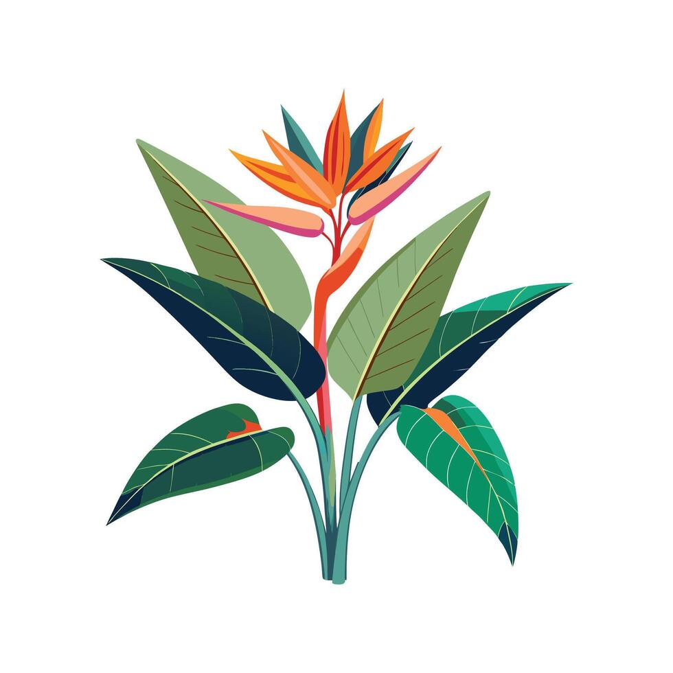 Stunning Giant Bird of Paradise Design vector