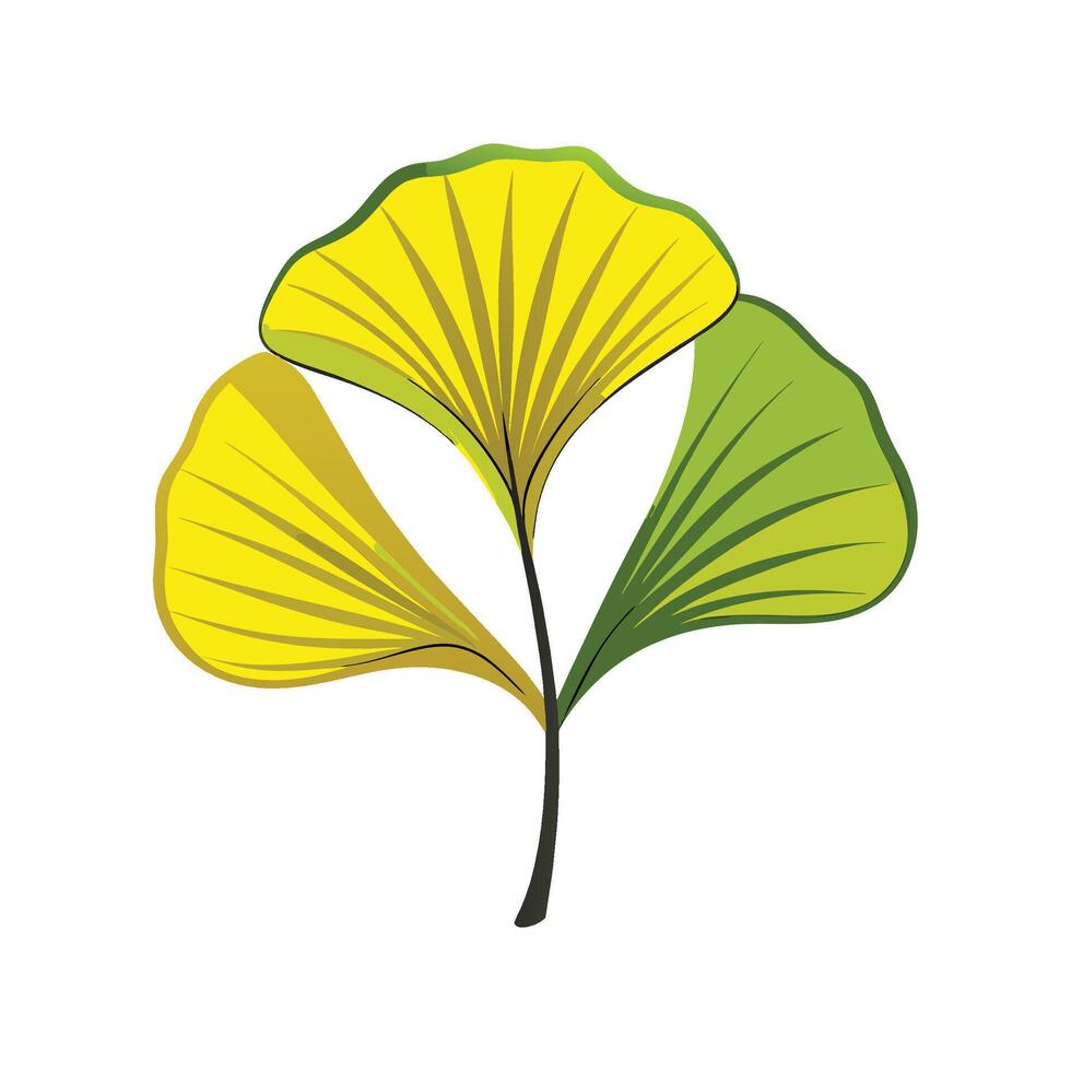 Unique Ginkgo Biloba Leaf Design vector