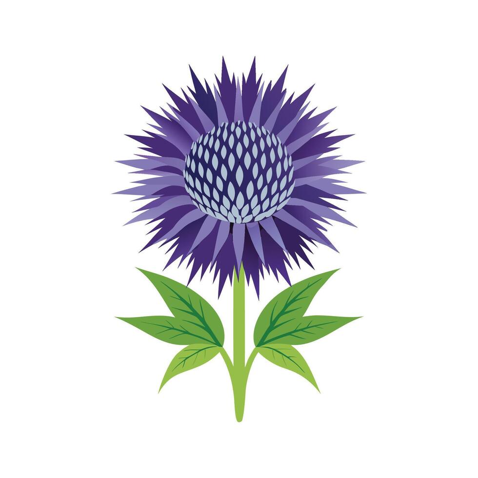 Vibrant Globe Thistle Floral Artwork vector