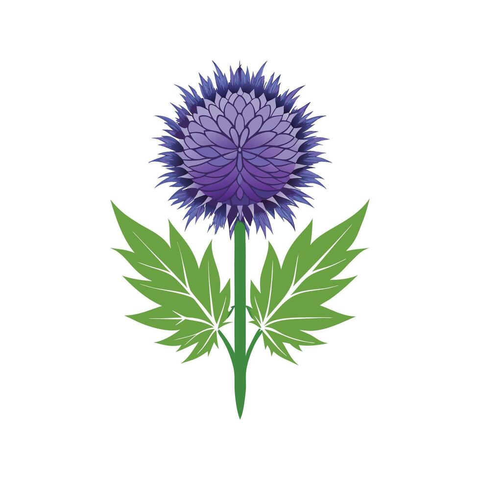 Elegant Globe Thistle Flower Design vector